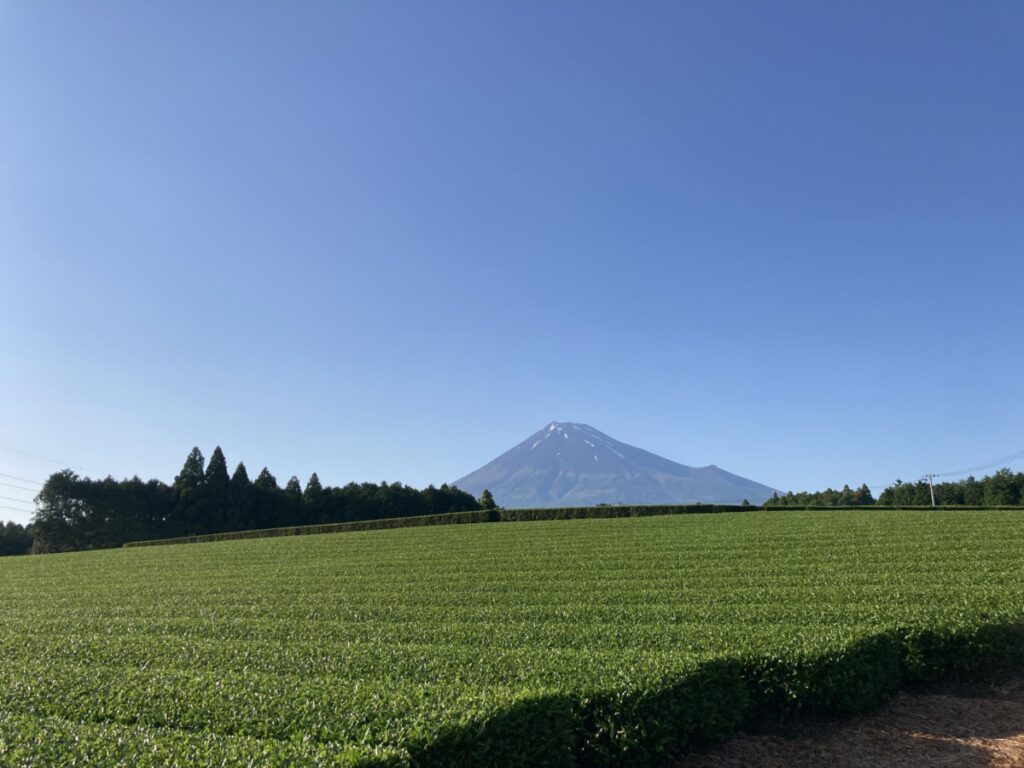 大淵地区でおススメの学習塾は　他の地域と比べて極端に少ない